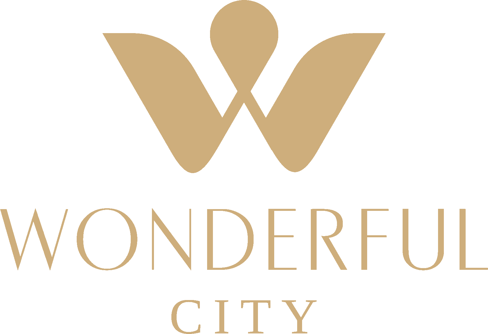 Wonderful City